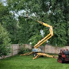 Artificial Turf Installation in Chino Valley, AZ